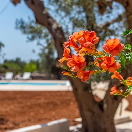 Beach With Private Pool In Peaceful Location Torre Suda